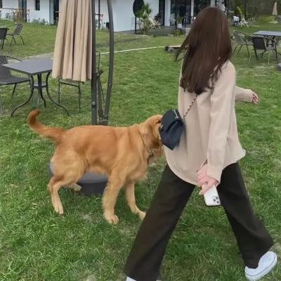 请君